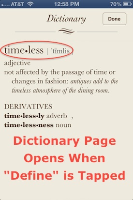 Dictionary Page in the iPhone