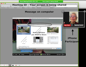 Sharing desktop on Zoom - Screen Shot